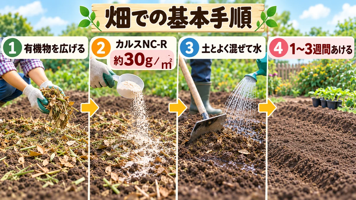 カルスNC-Rを畑で使う基本手順。1平方メートルあたり約30gをまき、土と混ぜて水を与え、1~3週間待つ