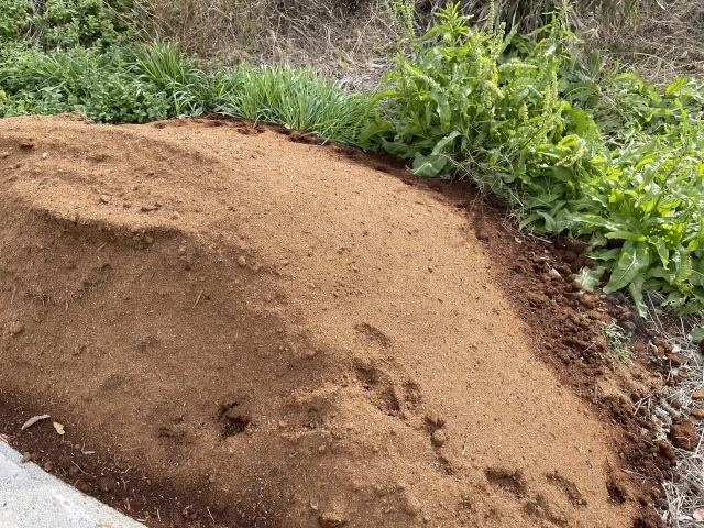 土をならした家庭菜園の畑