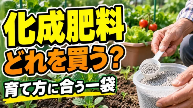 家庭菜園で化成肥料を選ぶ記事のアイキャッチ。手元の粒状肥料と「どれを買う？」の文字
