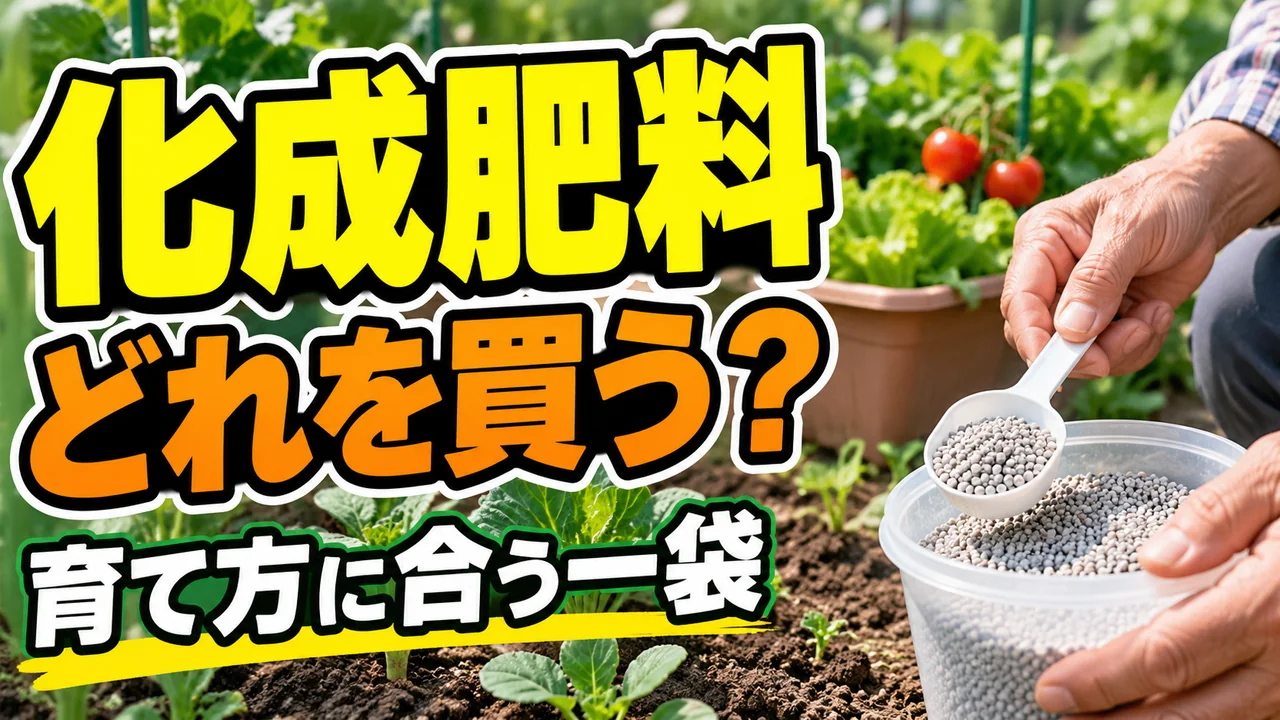 家庭菜園で化成肥料を選ぶ記事のアイキャッチ。手元の粒状肥料と「どれを買う?」の文字
