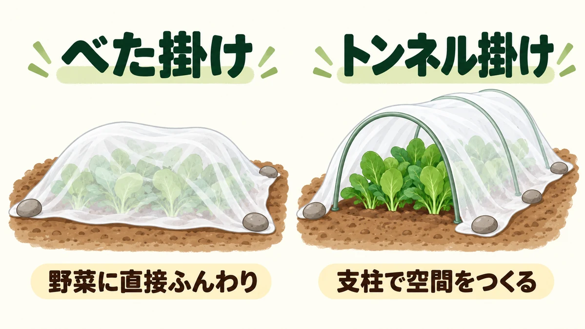 不織布を直接掛けるべた掛けと支柱を使うトンネル掛けの違い