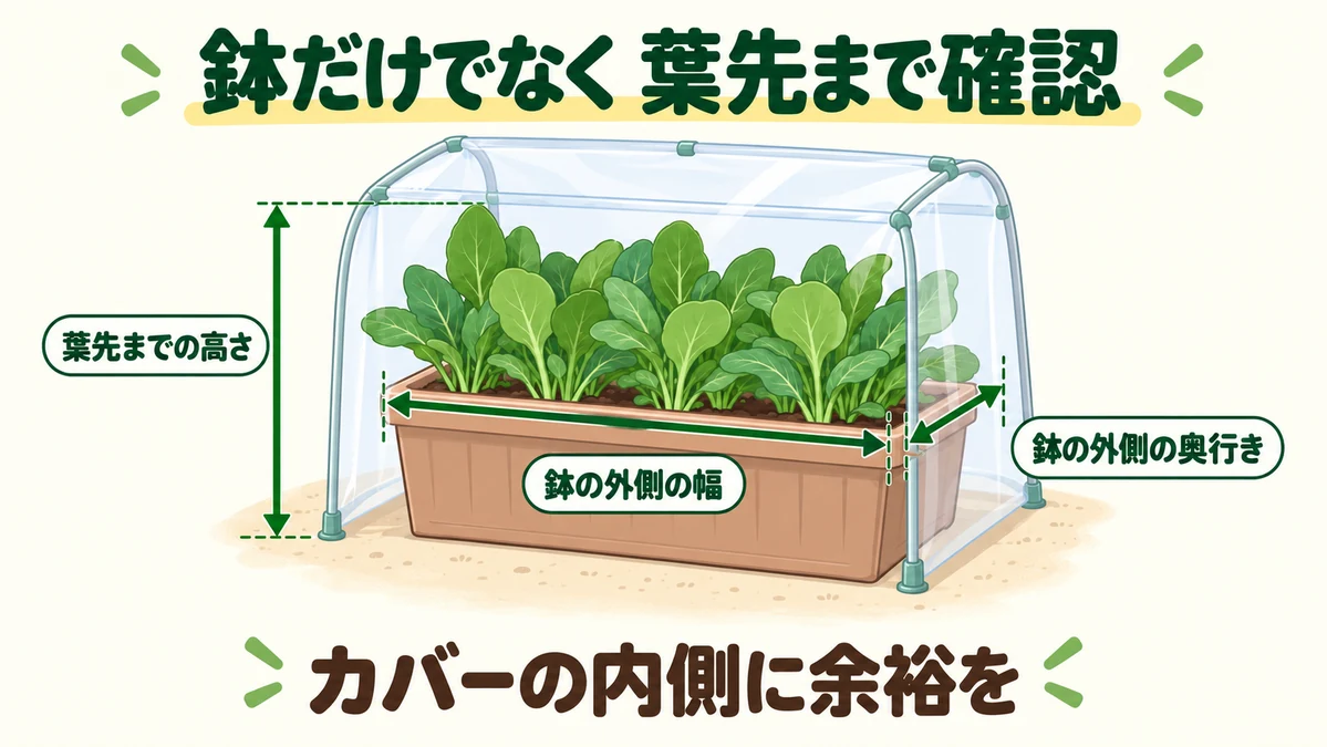 鉢のふちの外寸と地面から葉先までの高さを測る図