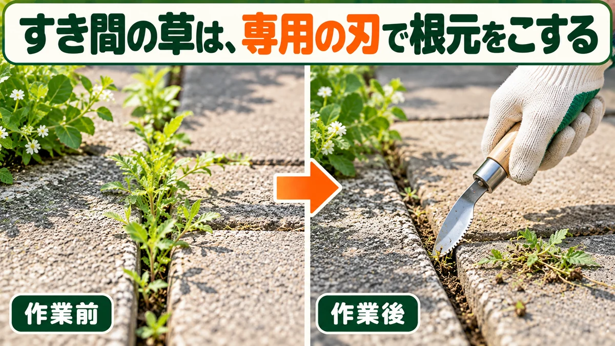 コンクリートのすき間へ薄い刃を入れて草の根元を取る使い方の図