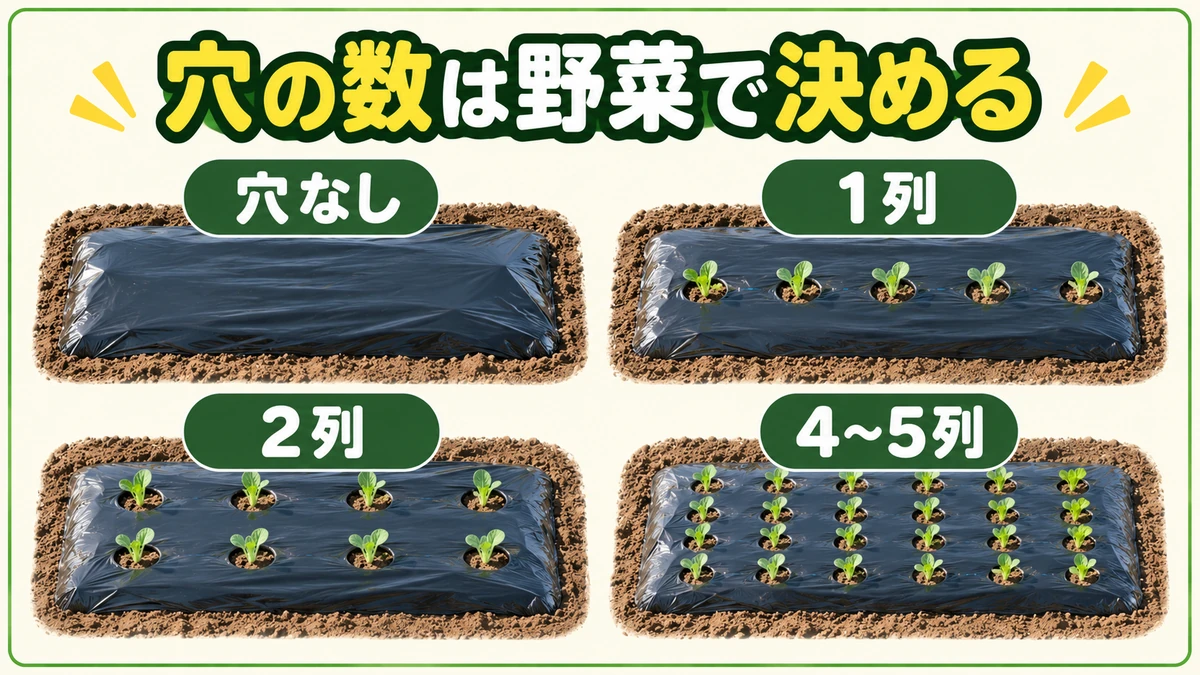 穴なし、1列、2列、4列・5列など、マルチの穴配列を野菜の植え方で比べる図