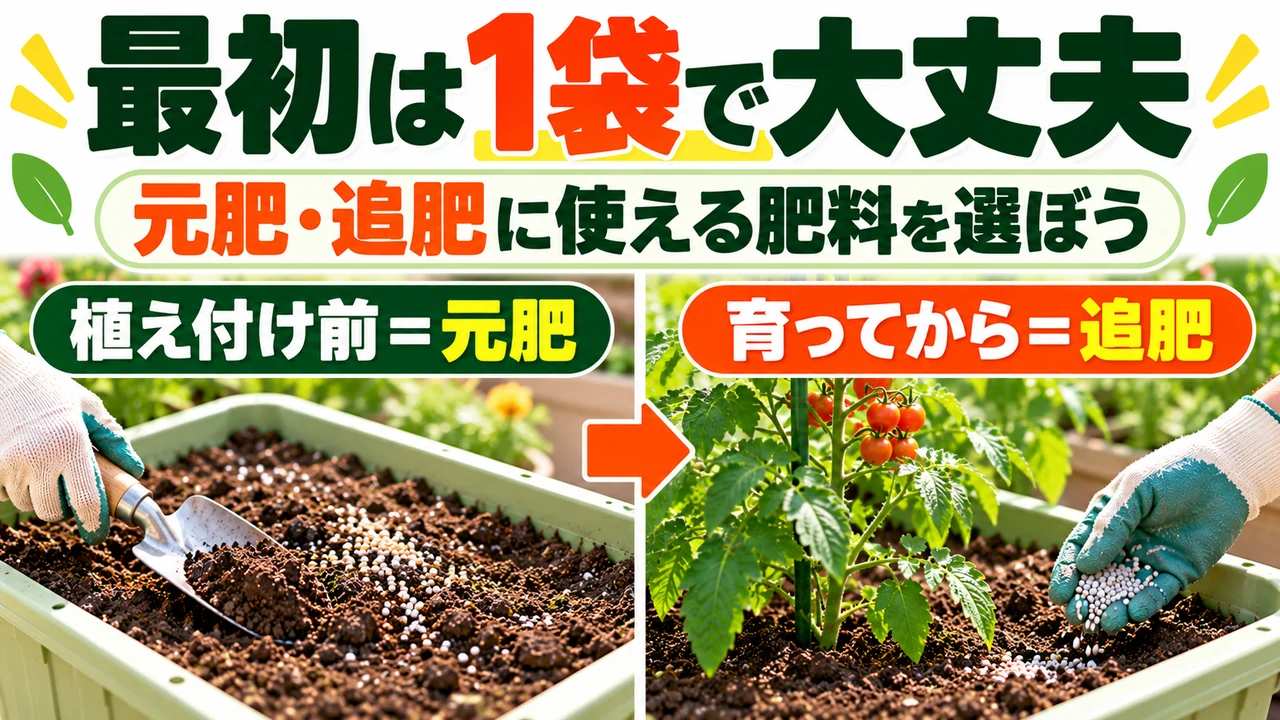 最初は1袋で大丈夫。植え付け前は元肥、育ってからは追肥
