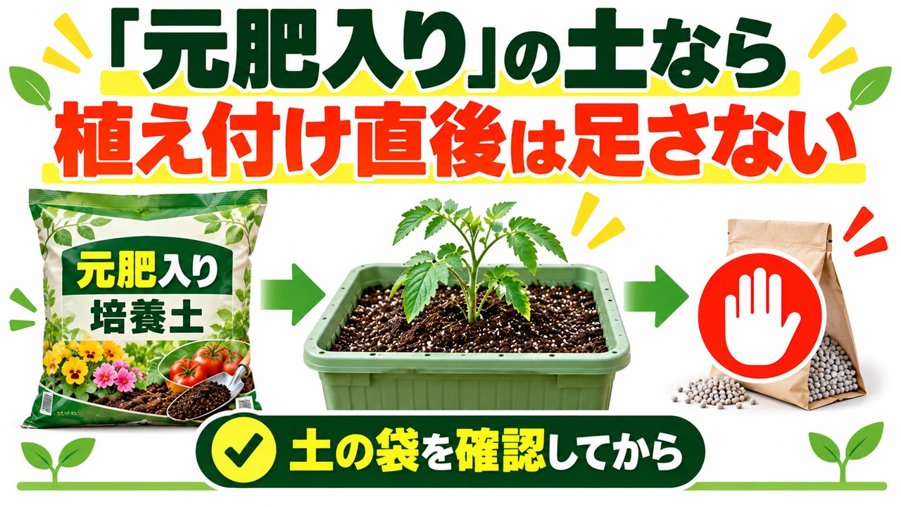 元肥入り培養土なら植え付け直後は肥料を足さない