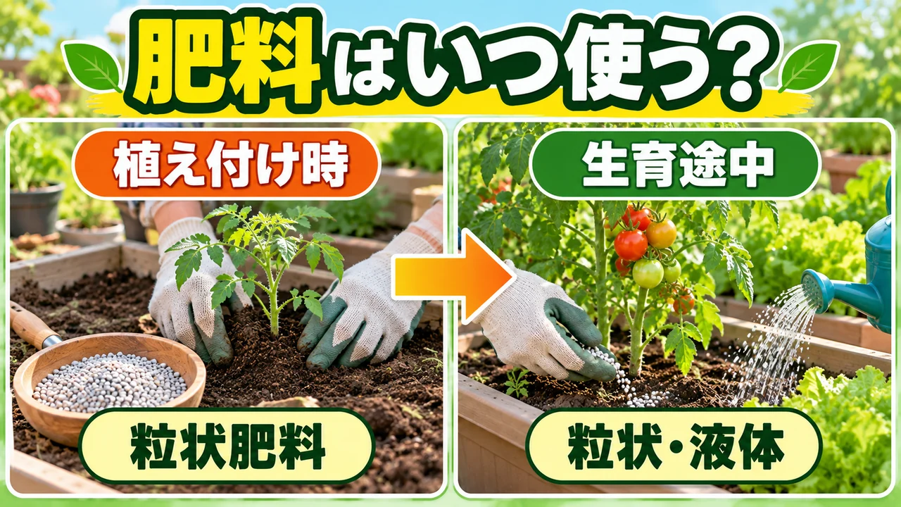 植え付け時と生育途中で使う肥料の違い