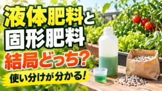 液体肥料と固形肥料の使い分けを紹介する記事アイキャッチ
