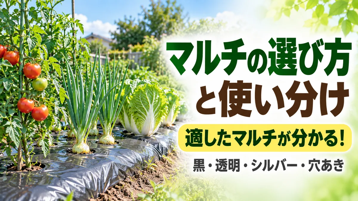 マルチの選び方と使い分け。適したマルチが分かる
