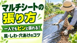 マルチシートの張り方。一人でもピンと張れる
