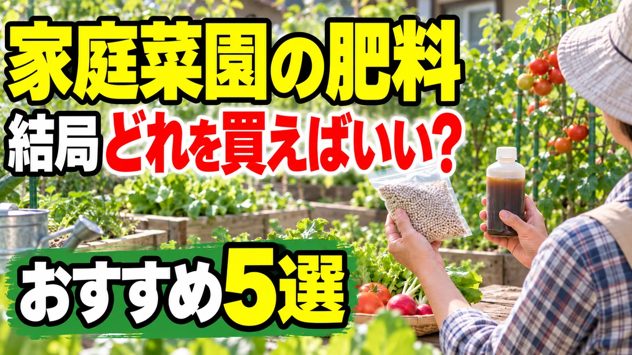 家庭菜園の肥料を初心者が選ぶための記事アイキャッチ