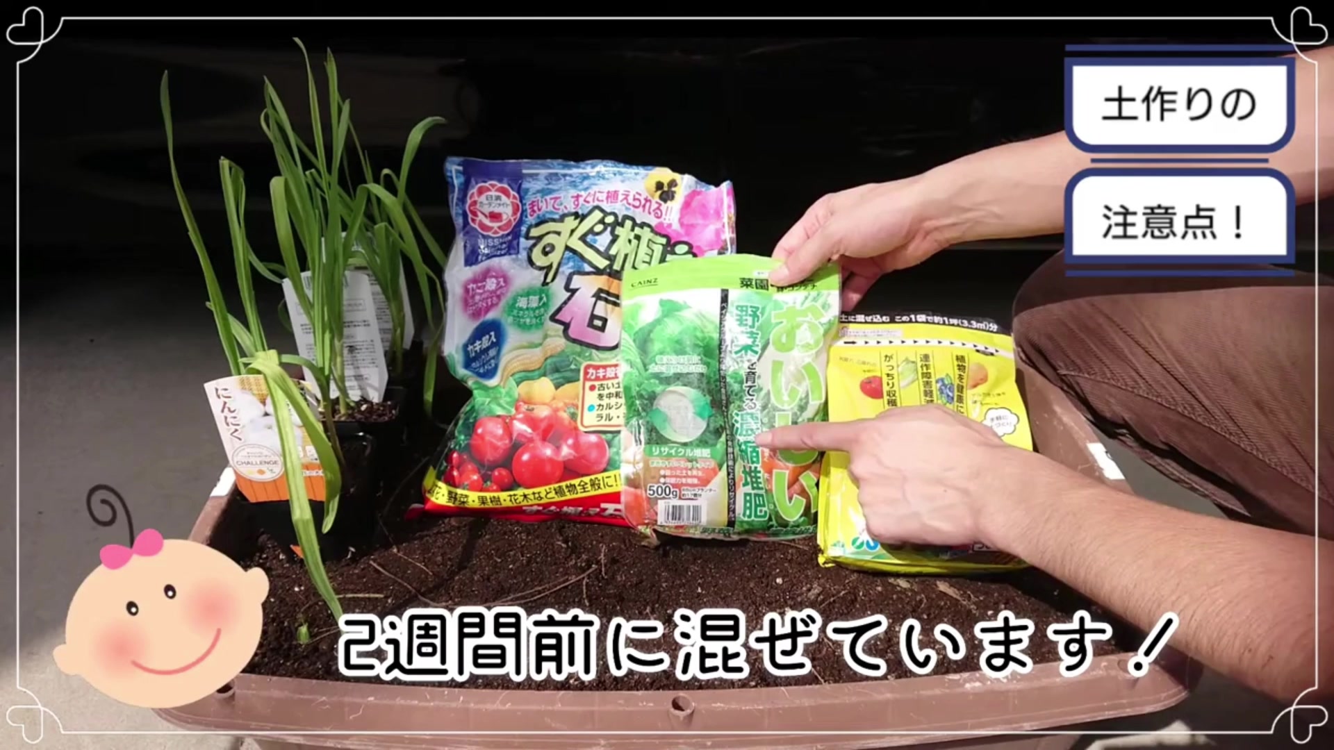 ニンニク苗の植え付け前に使った土作り資材