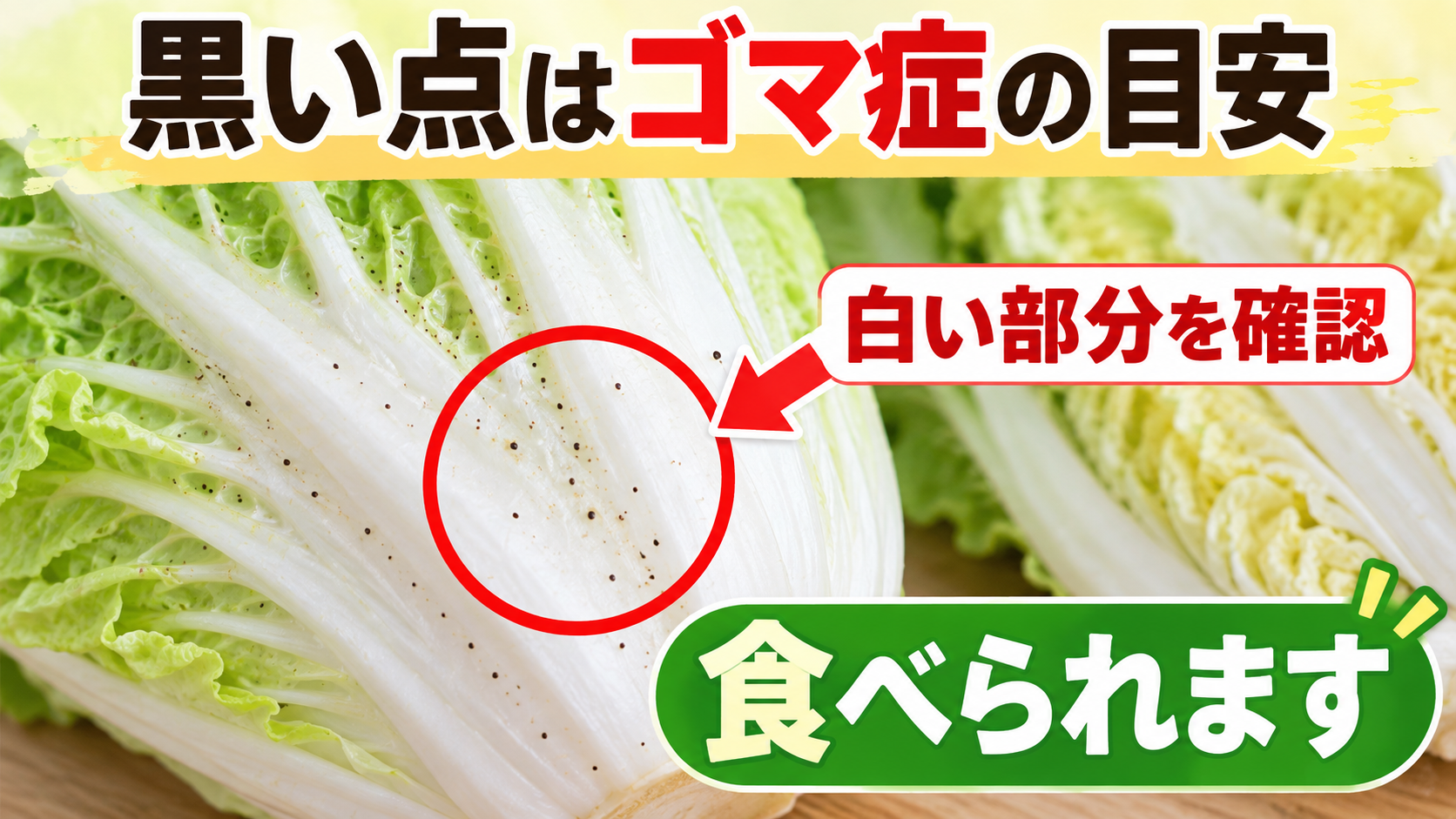 白菜の白い葉柄に黒い点が出るゴマ症の目安