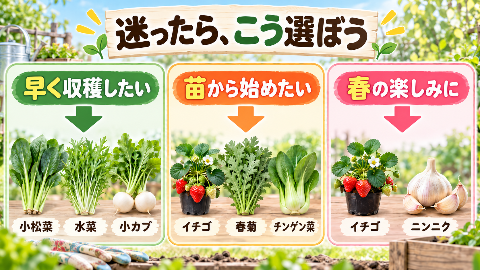 10月に植える野菜を目的別に選ぶ図