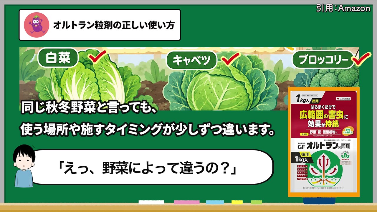 白菜・キャベツ・ブロッコリー・大根でオルトラン粒剤を使う場所と時期が違うことを示す図解