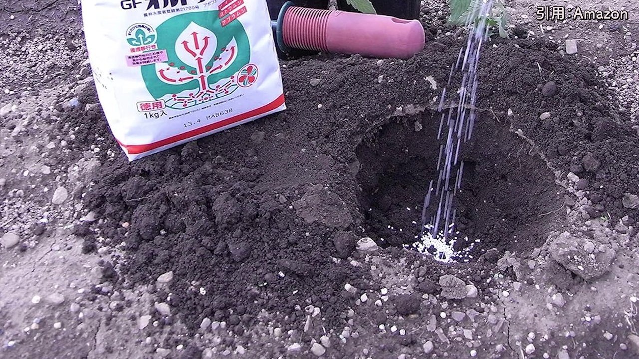 オルトラン粒剤を計量して畑へまく動画実写