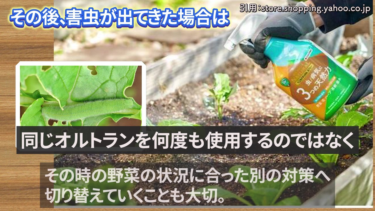 後から害虫が出た時に野菜と虫に合う対策を選ぶ図解