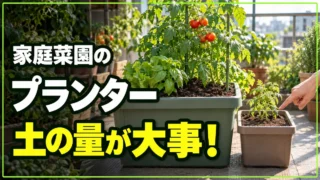 家庭菜園のプランター、私に合うのは？
