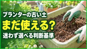 プランターの古い土は再生？買い替え？初心者が迷わない判断基準