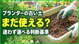 プランターの古い土がまだ使えるか、判断基準を紹介するアイキャッチ