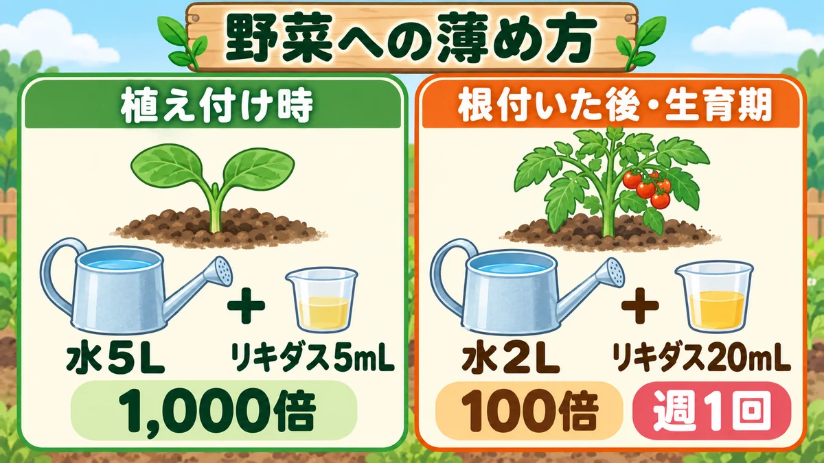 植え付け時は水5Lにリキダス5mLの1,000倍、根付いた後は水2Lに20mLの100倍を週1回使う図