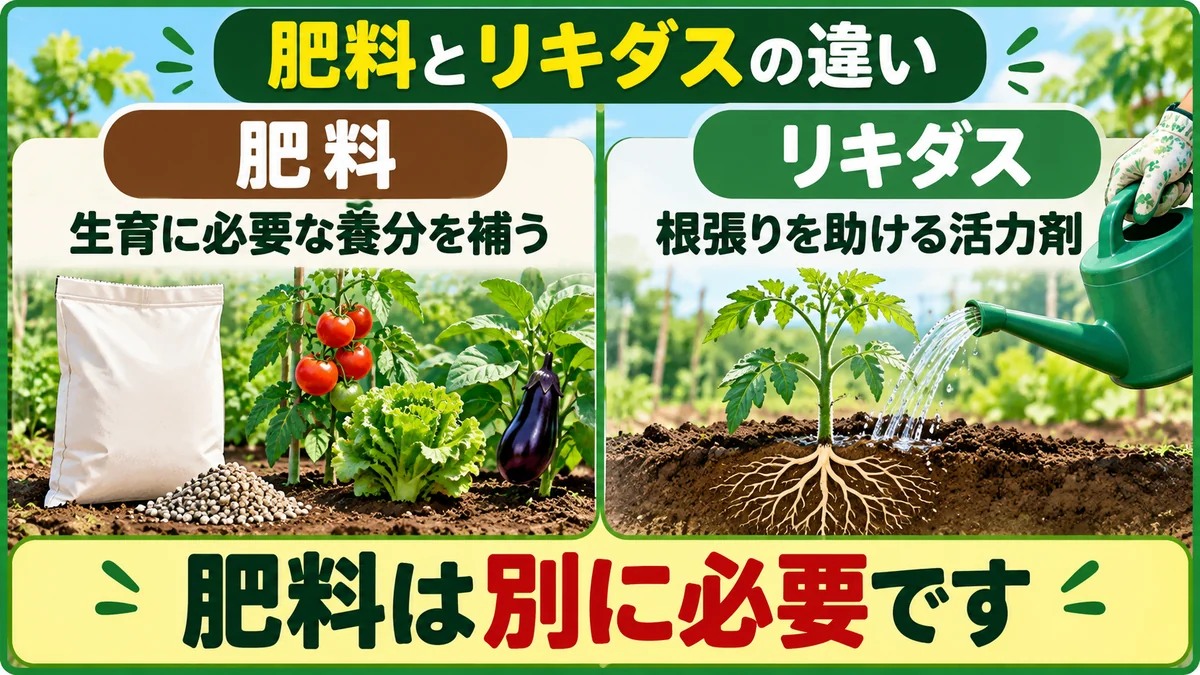 肥料は生育に必要な養分を補い、リキダスは根張りを助ける活力剤であることを示す図