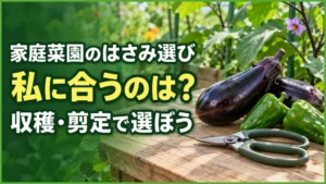 家庭菜園のはさみ選び｜収穫・剪定に合うタイプと選び方