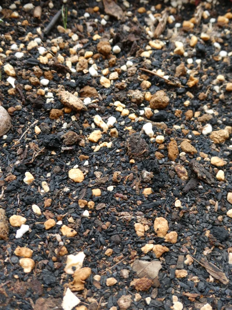 粒や有機物が混ざった鉢植え用の土