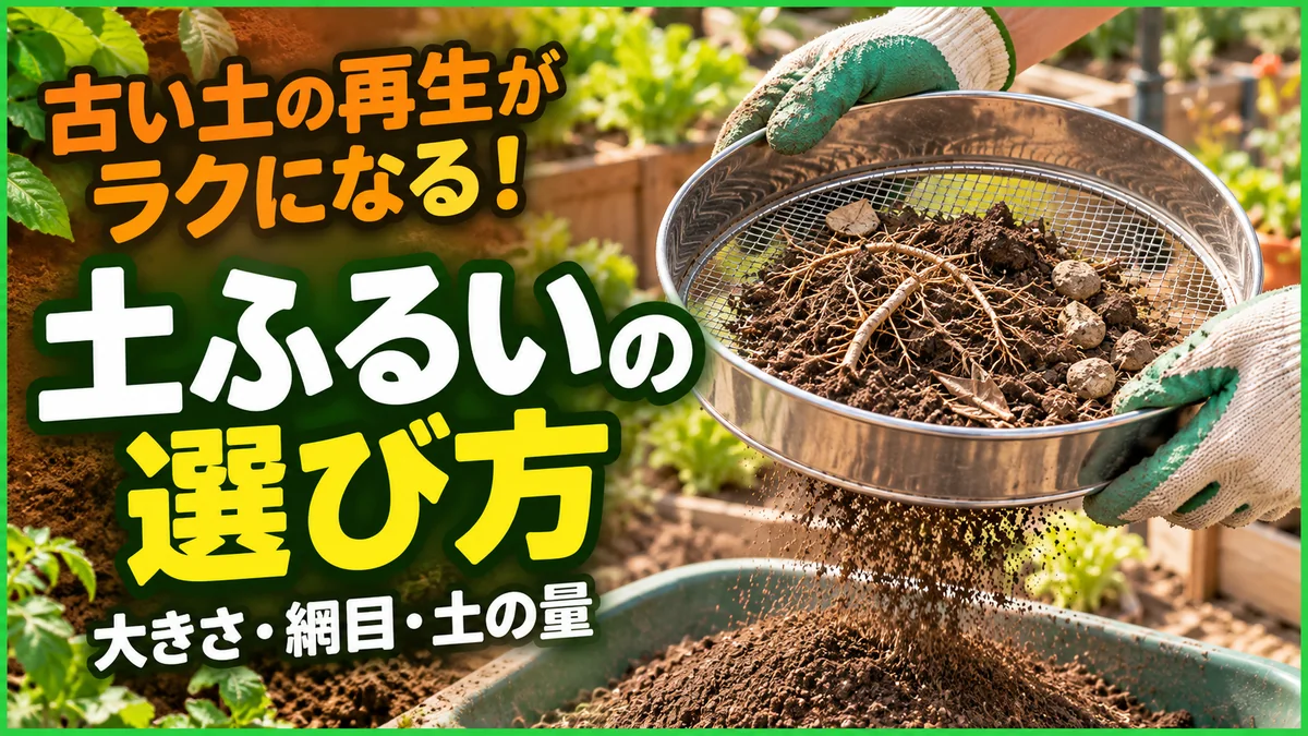 古い土をふるいにかけながら、大きさ・網目・土の量で土ふるいを選ぶ記事のアイキャッチ