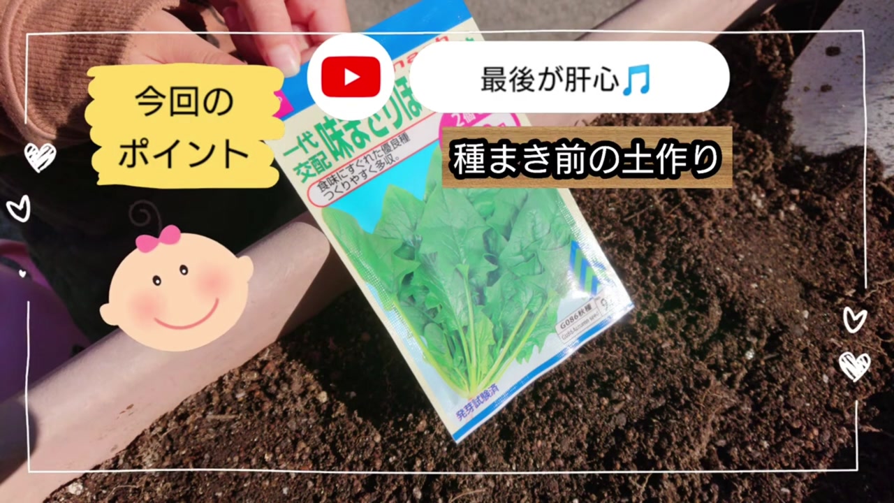 ポコずファミリーが使った少量入りのほうれん草の種とプランター