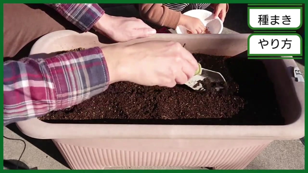 プランターの土をほぐして表面を平らにする動画実写