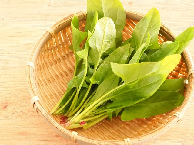 かごに入れた収穫ほうれん草