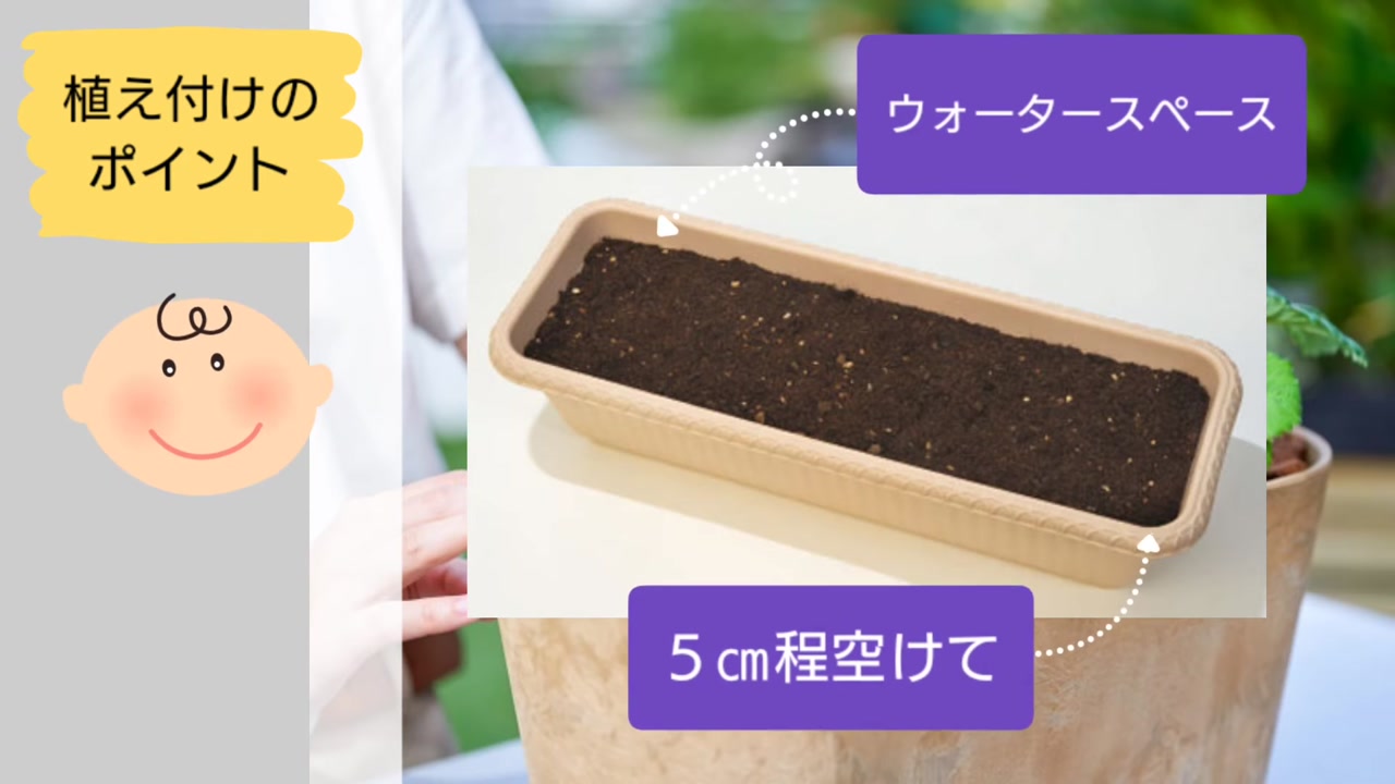 プランターの縁から約5センチ空けてウォータースペースを作る動画実写