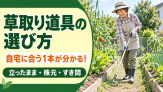 立ったまま、株元、すき間の作業から草取り道具を選ぶ記事のアイキャッチ