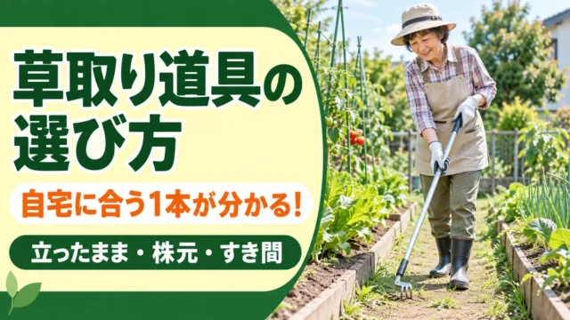 立ったまま、株元、すき間の作業から草取り道具を選ぶ記事のアイキャッチ
