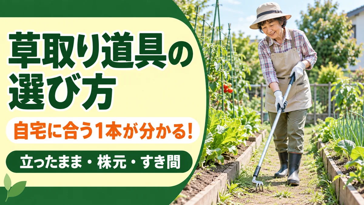 立ったまま、株元、すき間の作業から草取り道具を選ぶ記事のアイキャッチ