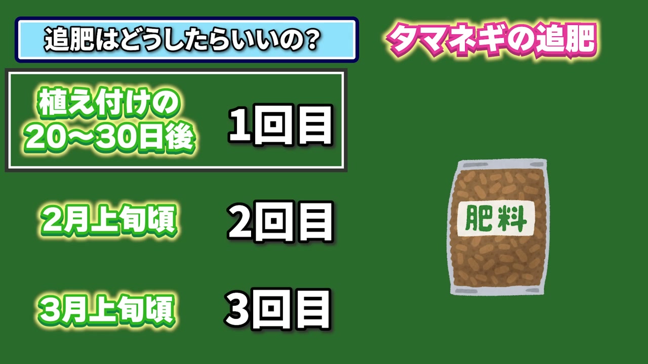 玉ねぎの追肥時期としてよく示される3回の目安