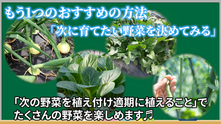次に育てたい野菜の植え付け適期に合わせてピーマンを片付ける方法