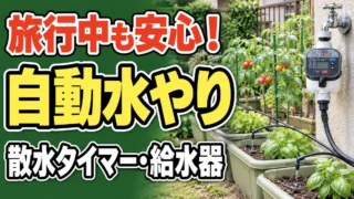 旅行や留守中にも使える家庭菜園の自動水やりを紹介するアイキャッチ