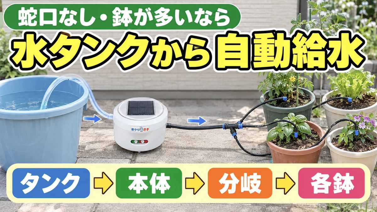 水タンクから本体と分岐を通して複数の鉢へ自動給水する説明画像