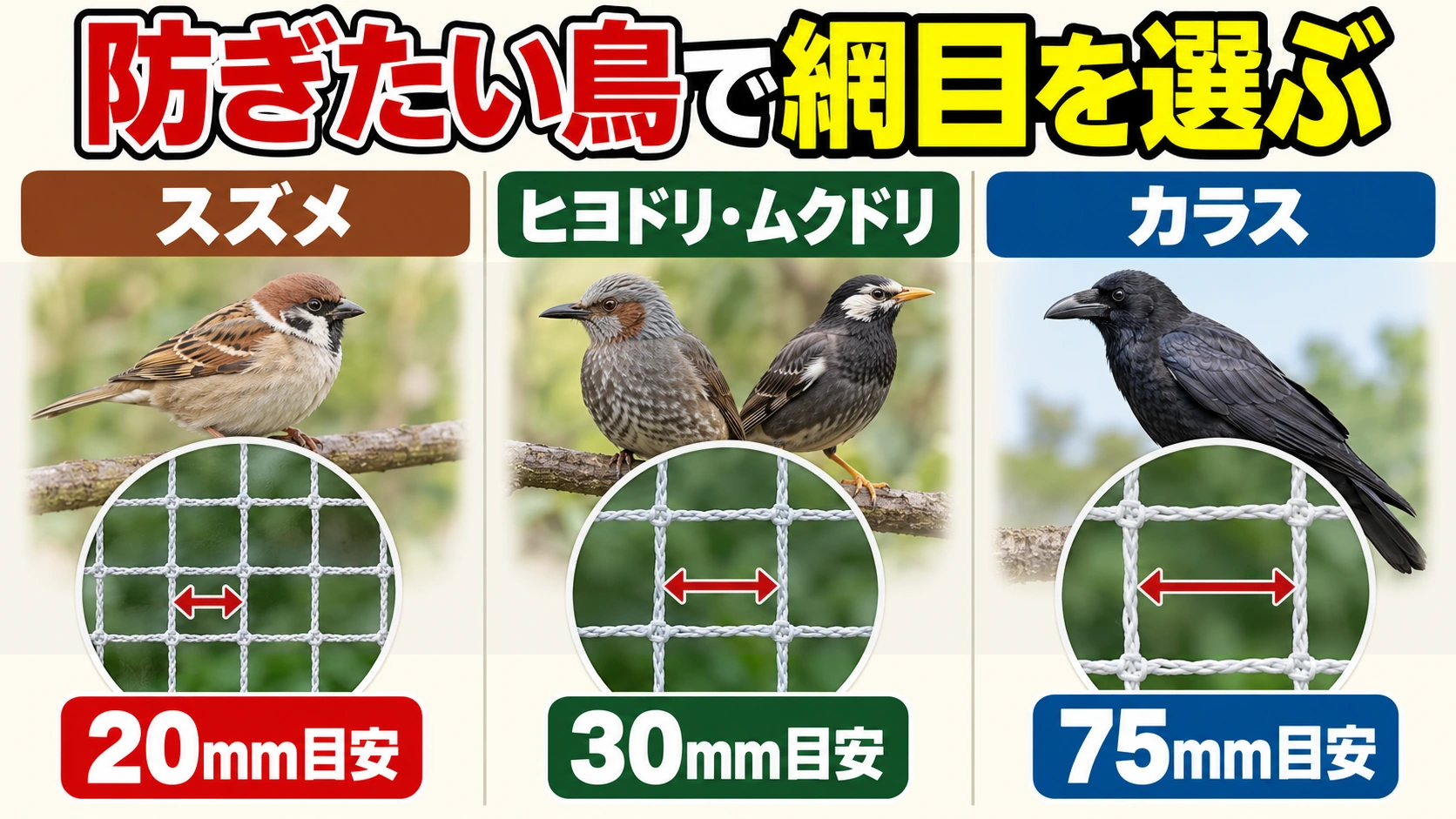 守りたい鳥に合わせて防鳥ネットの網目を選ぶ図