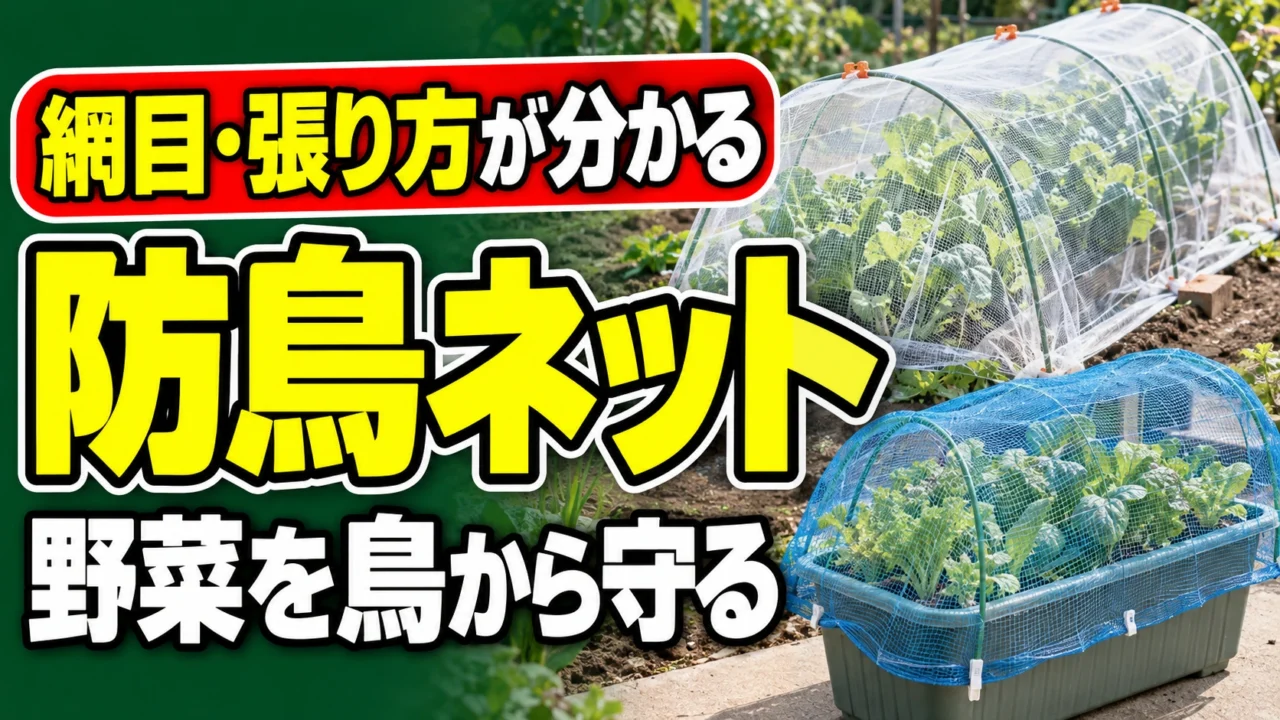 野菜が鳥に食べられる前に、畑とプランターに合う防鳥ネットを選ぶ記事のアイキャッチ