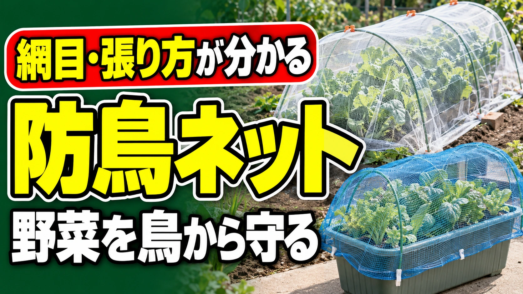 野菜が鳥に食べられる前に!家庭菜園の防鳥ネットおすすめ