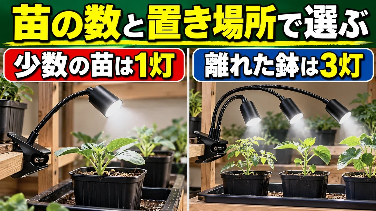 少数の苗と離れた複数鉢でクリップ式ライトを使い分ける図