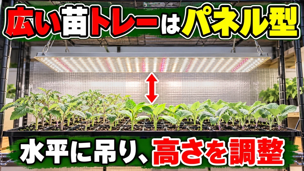 広いセルトレーをパネル型ライトで上から照らす図