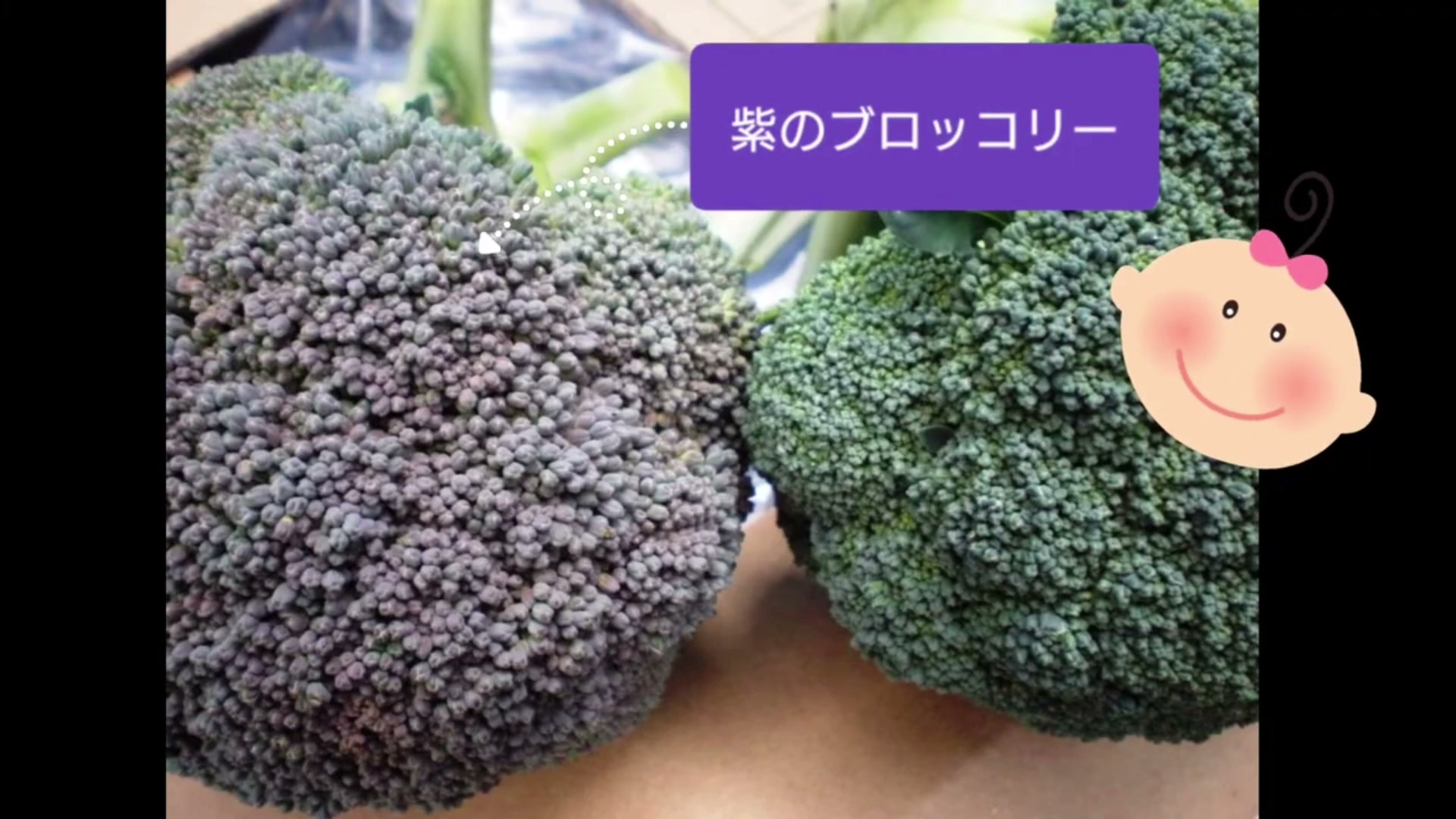 寒さで紫色になったブロッコリーと緑色のブロッコリー