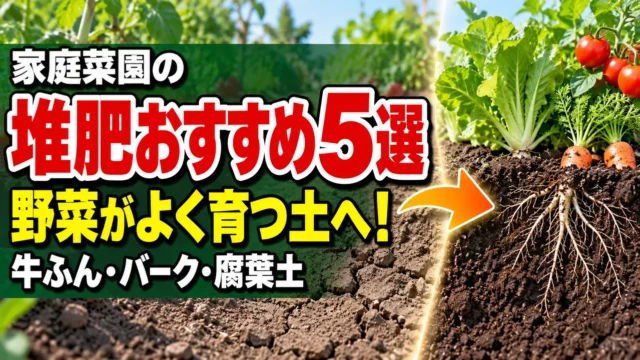 野菜がよく育つ土へ整える家庭菜園の堆肥おすすめ5選