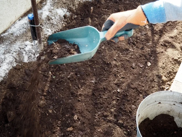 菜園の土へ腐葉土を混ぜる手元の実写