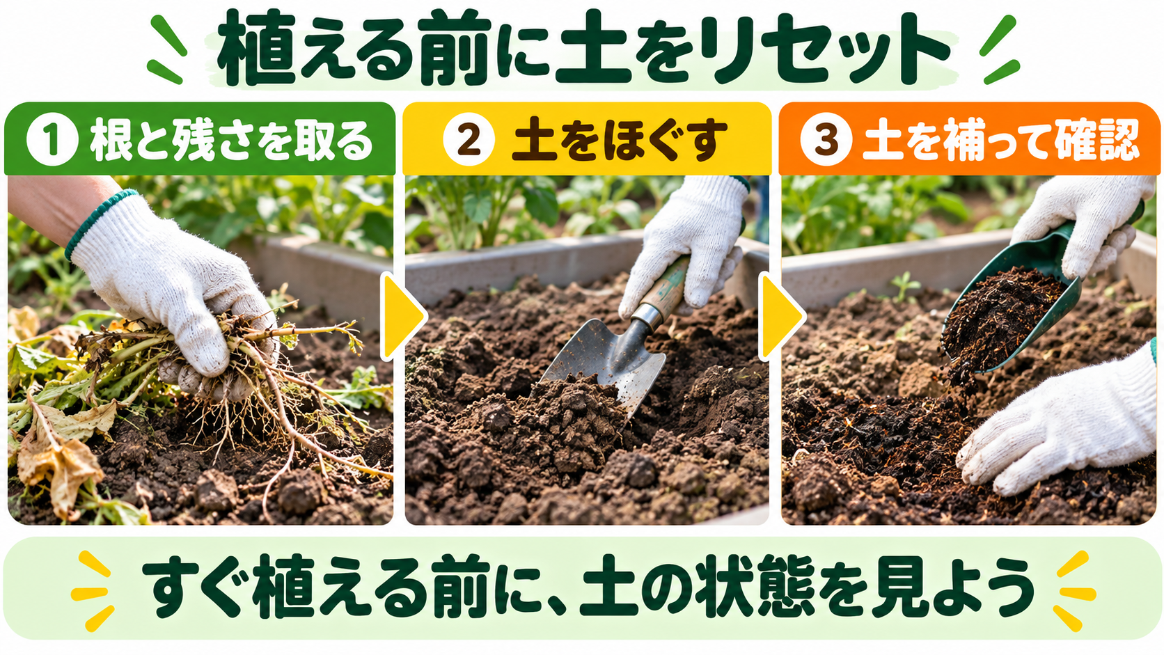 大根収穫後の土を次作へ向けて整える手順