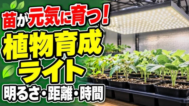植物育成ライトでひょろひょろ苗を防ぐ選び方を伝えるアイキャッチ